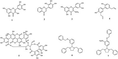 Exploring the Structural Diversity in Inhibitors of α-Synuclein Amyloidogenic Folding, Aggregation, and Neurotoxicity